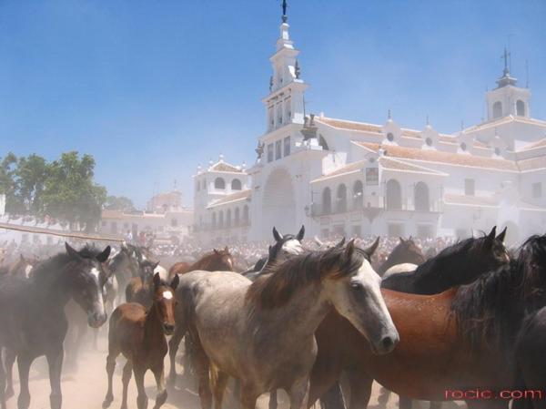 Casa Rural Donana 51 El Rocío Dış mekan fotoğraf